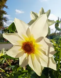 IMG_20191011_135939.webp