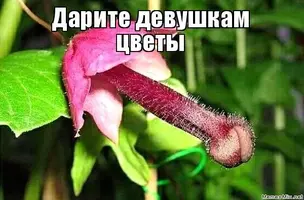 6.webp
