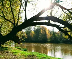 IMG_20191015_133558-min.webp