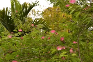 IMG_0849.webp