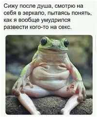 1571983130188845851.webp