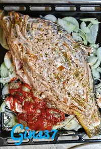 IMG_20191025_185147-01.webp