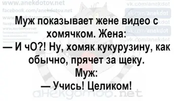 7e02eb730488.webp