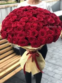 11117247985bb7a1cddb635_medium.webp