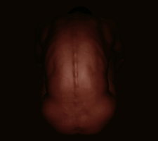 back in the dark.webp