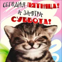 st55g7lu36x.webp