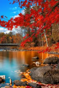 IMG-20191101-WA0002.webp
