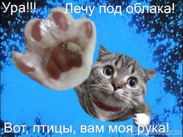 888.webp