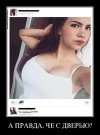 ysuirz9ga5kb.webp