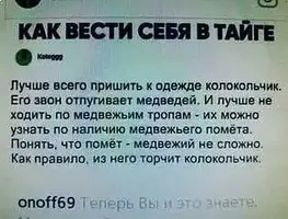4.webp