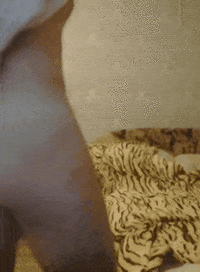 20191102_000054.gif