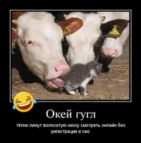 6402E5B3-6AB7-4F46-B1C2-C0D95EE171B1.webp