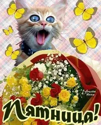 7980-otkritki-Otkritki-i-kartinki-pro-Pyatnitsu.webp