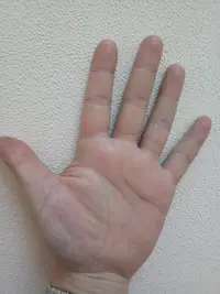 IMG_20191108_162008.webp