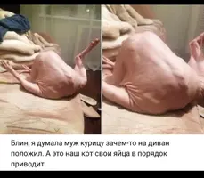 5BA0EFA9-66F0-43EA-B9A6-6027C4166BBF.webp