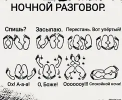 5.webp
