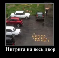 8.webp