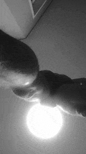 20191110_015035.gif
