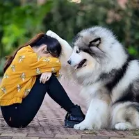 C368A47A-75C3-4973-AA97-77F9D7249AE3.webp