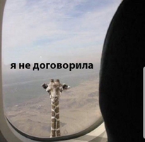 20191111_131326.webp