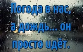 CmyLKcXJpmk.webp