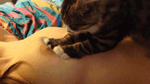 20191112_165527.gif