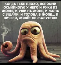 C9DF6ADE-80EC-4625-955C-34564967745C.webp