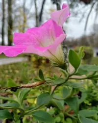 IMG_20191114_134719_902.webp