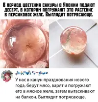 1573541632159422463.webp