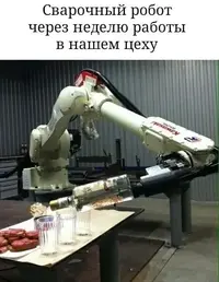 13626509.webp