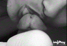 IMG_inbjqm.gif