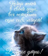 69d2e2c3bde374d2475bdb09580d311d.webp
