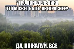 966751771.webp