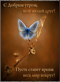 23-utro-56.gif