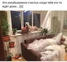 0D712649-251C-486F-9549-3B5232E4E1E8.webp