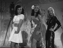 9FEEAF9A-9312-418D-A4CF-F4FFC1809245.gif