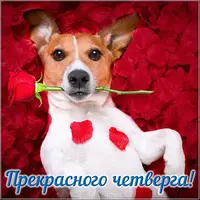 otkrytka-s-chetvergom-prikolnaya-besplatno.webp
