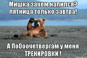 original.webp