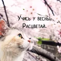 949022_760x500.webp