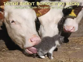0CL3rCP2ddw.webp