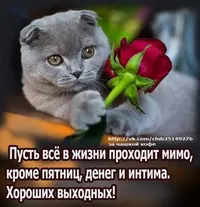 P_2iok22x718UoLr9.webp