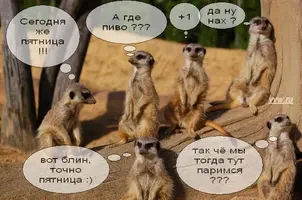 105248303_sumashedshiikomikspropiatni.webp