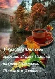 Без названия (4).webp
