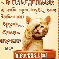 Открытки-с-понедельником-удачной-недели-Открытки-с-понедельником-скачать-бесплатно-3667.webp