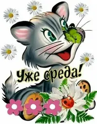 1562708435248-1.webp