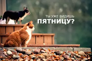 7141385.webp