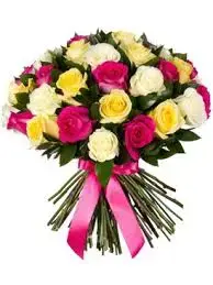 images (20).webp