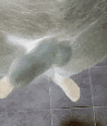 20191128_215908.gif