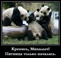 IMG_20191129_073013.webp