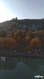 IMG_pvwdin.gif